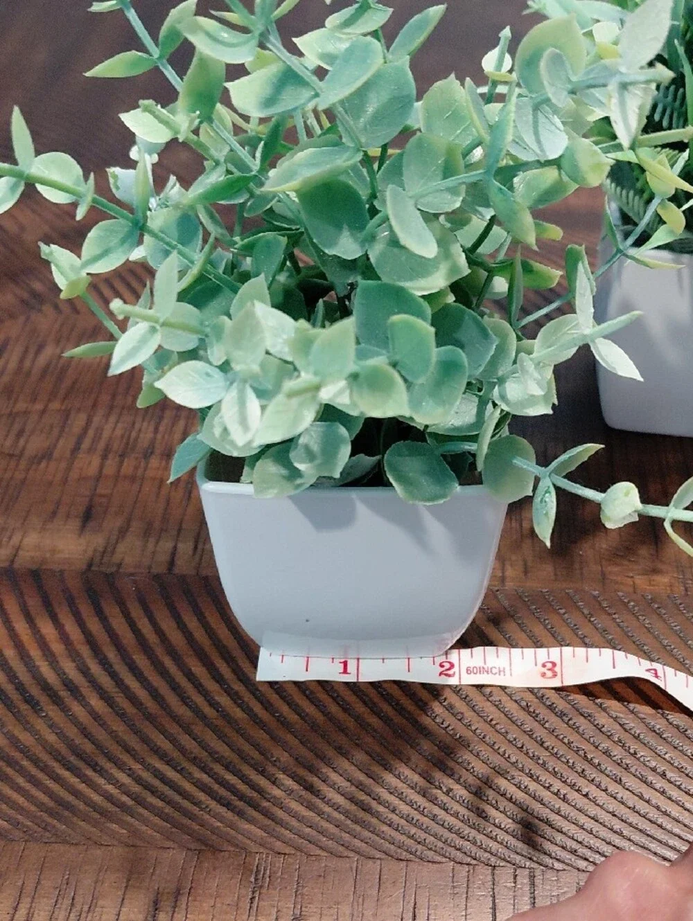 Artificial Potted Succulent Set in Green - Home Accents